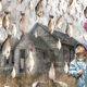 Image for article titled When It Rains Animals: The Science of True Weather Weirdness